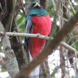 IMG_4996